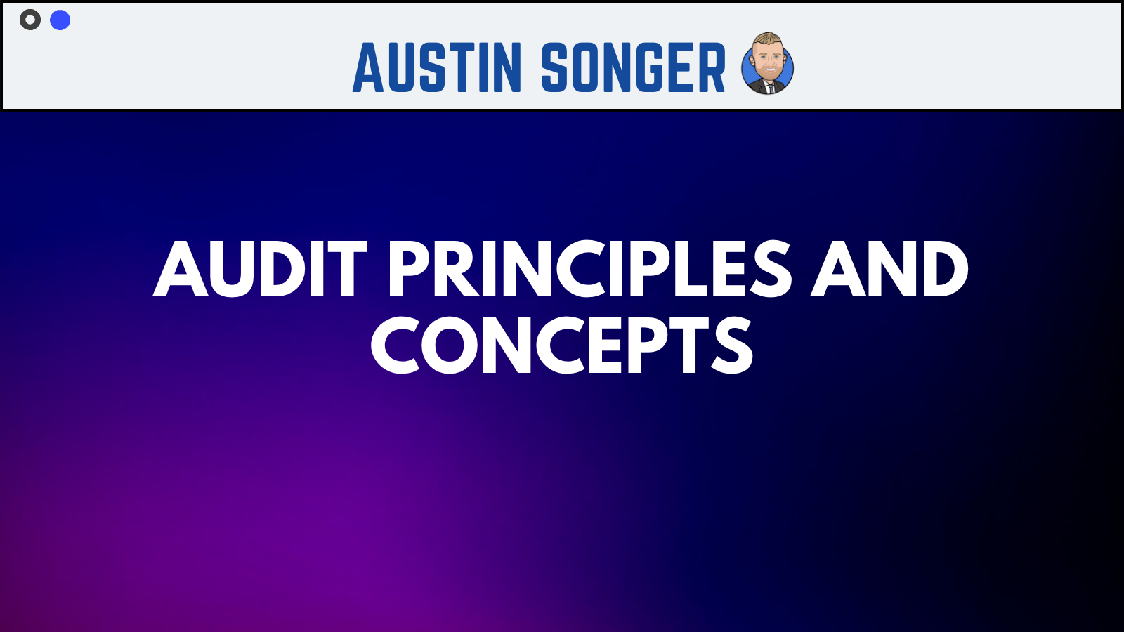 Audit Principles and Concepts